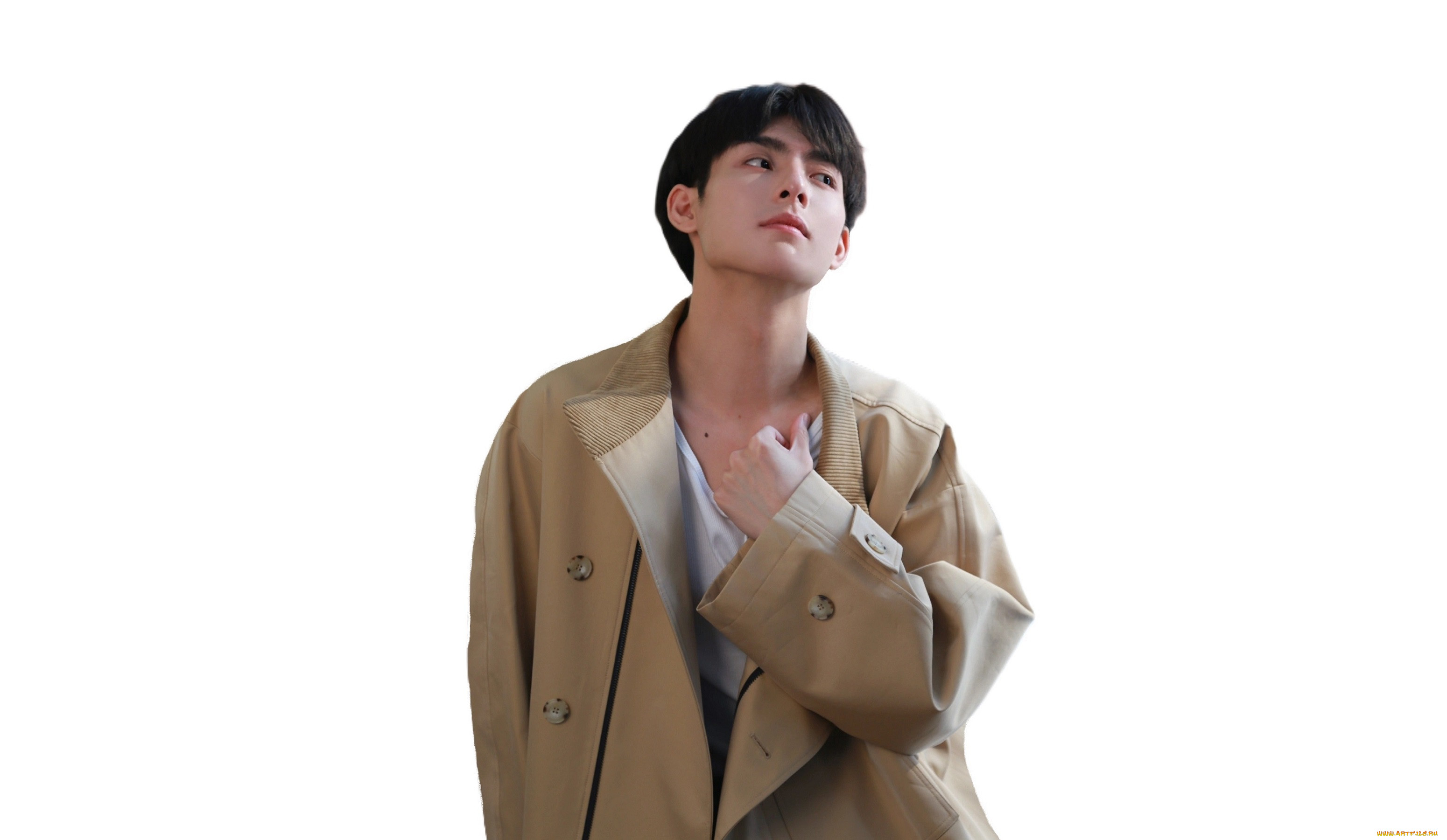 �������, wang hao xuan, ���, ���, �����